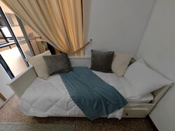 Dover Parkview (D5), Condominium #598767781